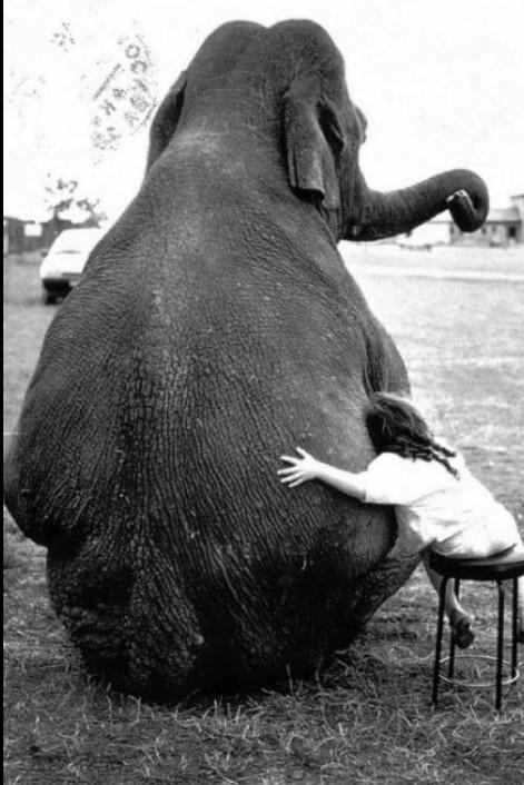 HaathiHouse's tweet photo. Show someone you 💘 them with something special from http://t.co/9Q8nFEPmXQ #love #hug #elephant #jewelry #jewellery http://t.co/Ze3IMf7Slq