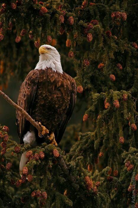 RimsRes9's tweet photo. The beauty of the #nature http://t.co/NqbccjWaVG