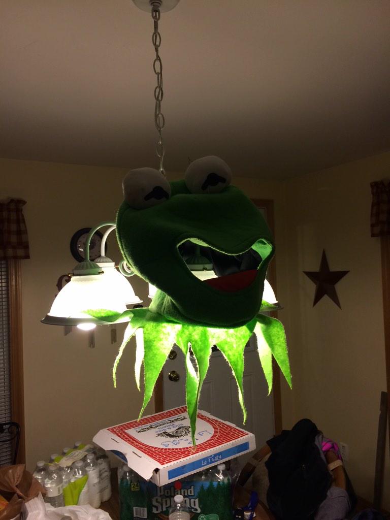 Reinbeers's tweet image. It&apos;s happening #GetMounted #Original77 #kermitthefrog