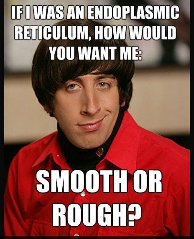 ErSynthesiz's tweet photo. smooth or rough? with us you can have BOTH. #voteforER #AHSOIC2015 http://t.co/oDFvVMiNN4