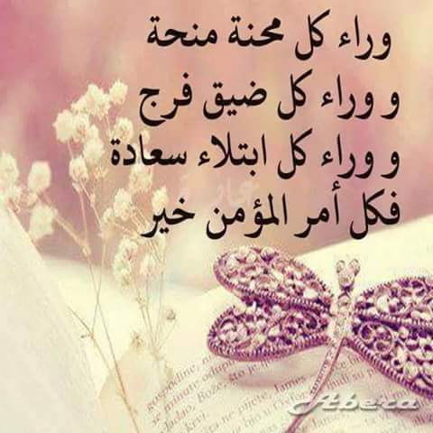 mohammadkab3's tweet photo. http://t.co/YV91YETAea