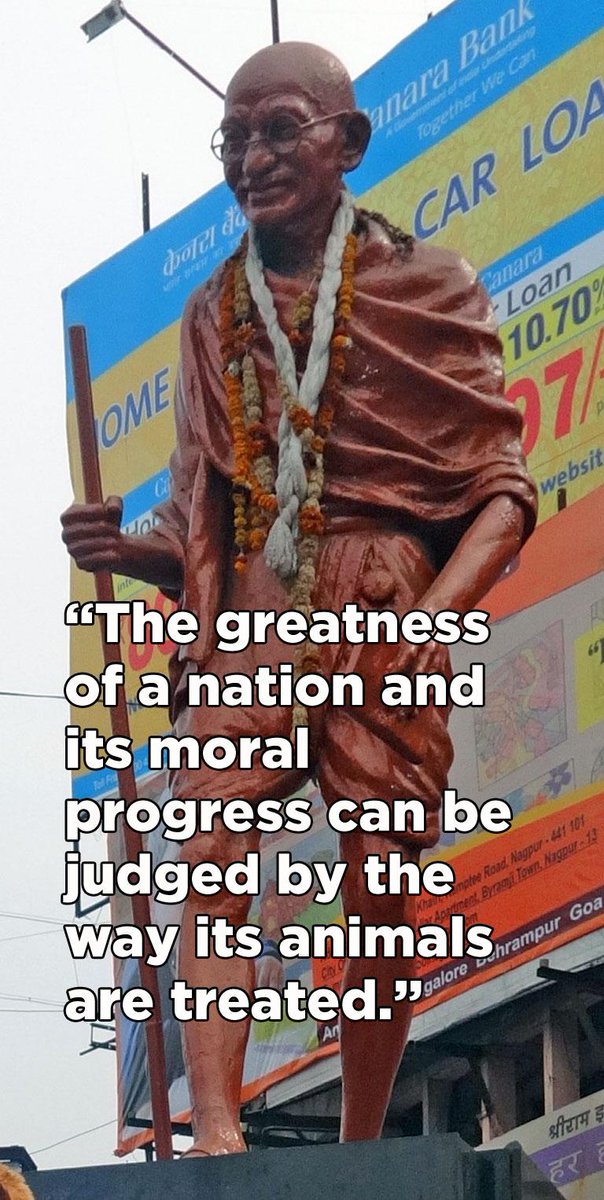 TRIBUTE to Mahatma Gandhi on his 65th death anniversary.
Thank you for bringing so much compassion to the world!