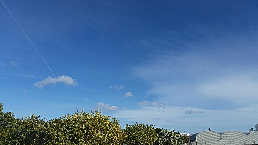 Mariajo_Sublime's tweet photo. Perfecto día de sol en Librilla, Murcia.  @tiempobrasero http://t.co/rL6vg7NUsg