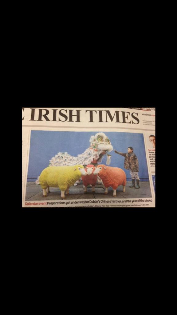 RowellDesign's tweet image. Nice to see our sheep on the front of the Irish times @IrishTimes