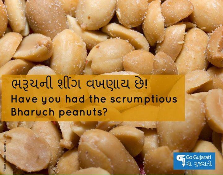 Go Gujarati tweet media