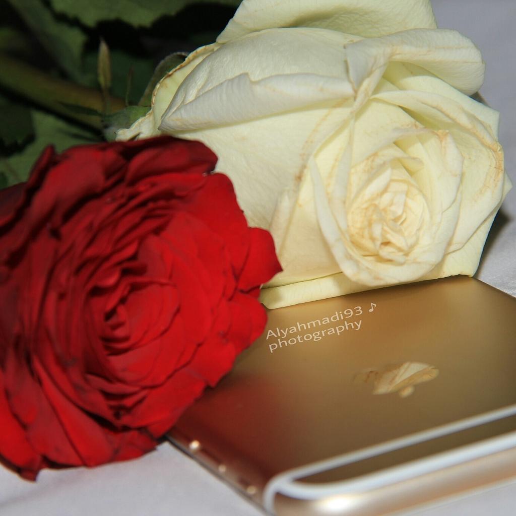 B93Boo's tweet photo. تصويري http://t.co/qwlyNmxaBA