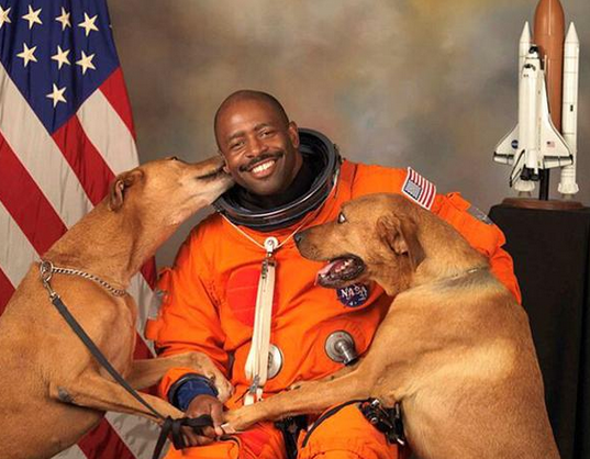 BuzzFeedUK's tweet photo. This astronaut has the best official portrait you’ll ever see
http://t.co/qtro7nvobl http://t.co/s1PhHcm80R