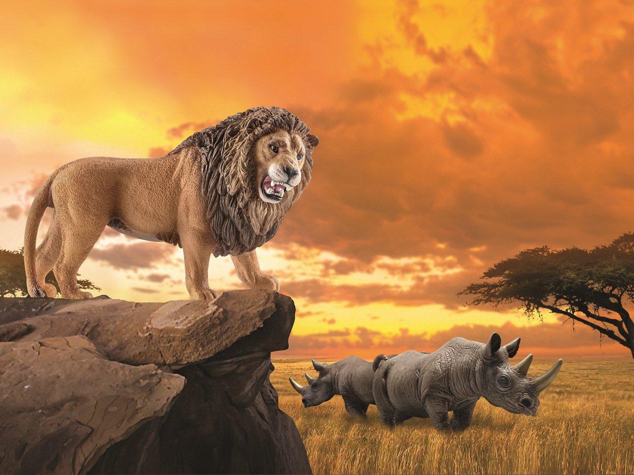 Twitter 上的 Schleich Japan K K リニューアルしたライオン オス です たくましく吠える姿がカッコイイ ライオン 吠える Schleich シュライヒ 動物 ライオン Http T Co Jc1chj6z6l Twitter