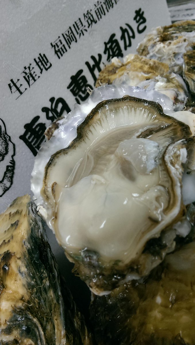 bistoria's tweet photo. 厳選ビストリアのオイスターです！
今週は福岡より恵比寿牡蠣のご紹介です(^^)d
口に入れると海の幸がいっぱにひろがり、ぜひ白ワインと一緒にお召し上がりください。 http://t.co/Jt56PHlGLs