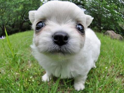 가까이봐도 기엽다!