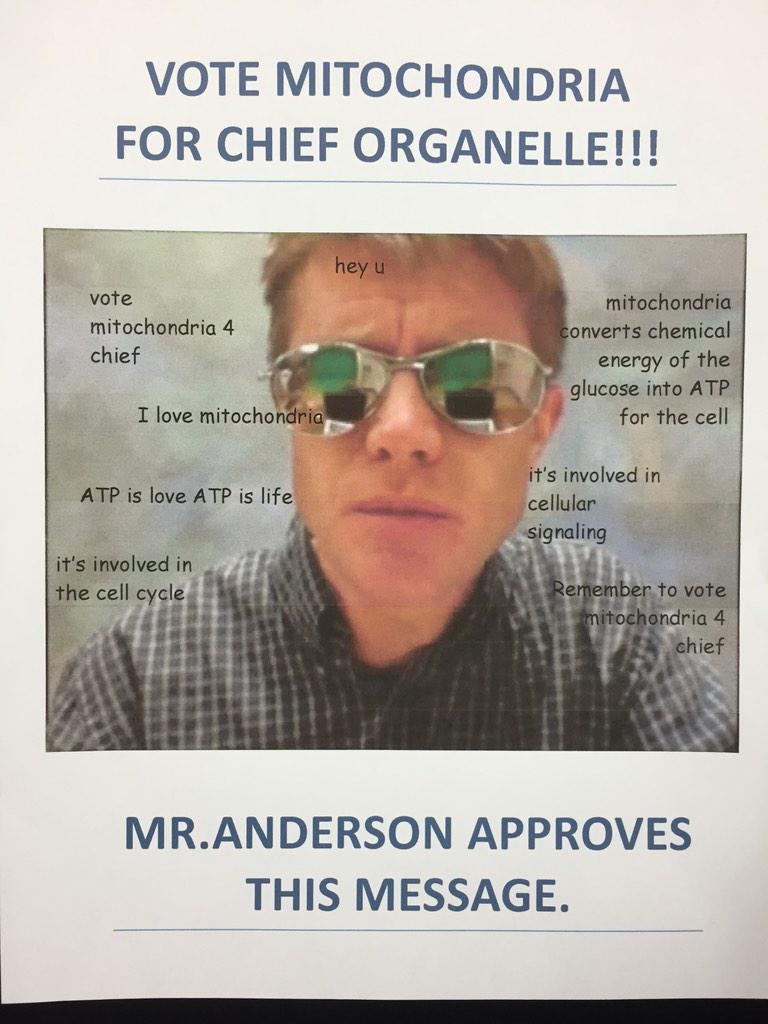 Naranjology's tweet photo. The campaigning is definitely heating up in 5th period!! http://t.co/jJsMzJdHuR