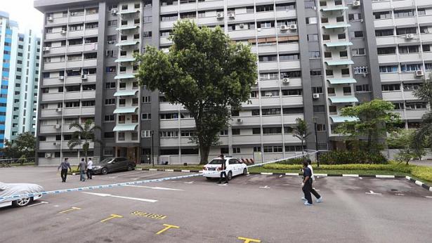 Embedded image permalink