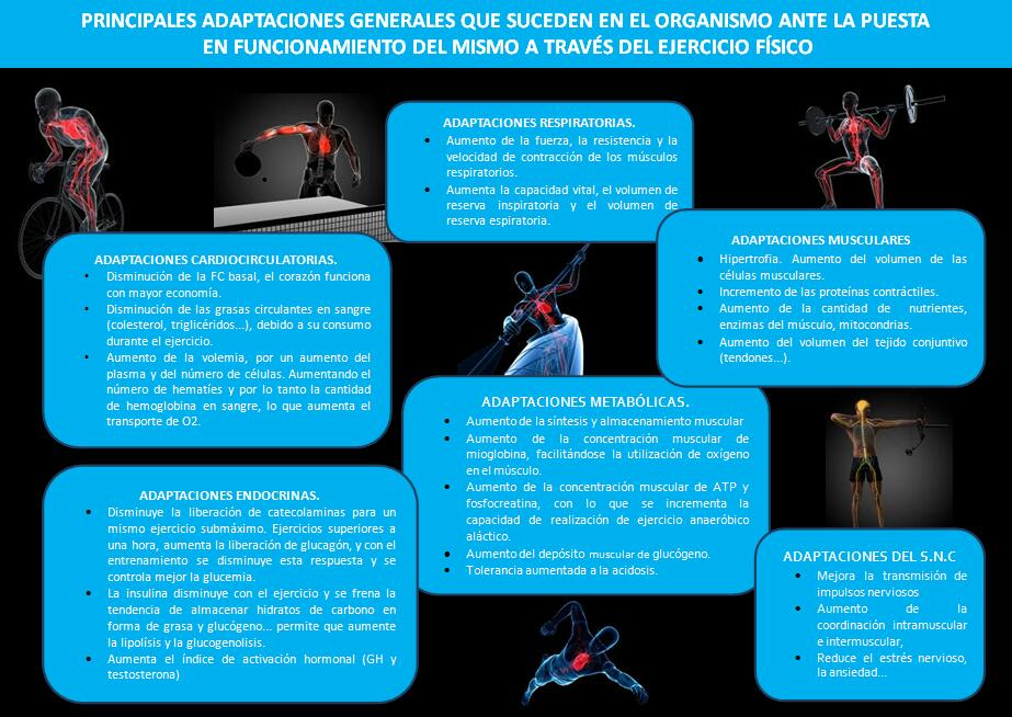 EDUCAFISIQUITO's tweet photo. “@gonzalez_vicent: Sí, sí, hacer deporte es bueno. Pero, ¿sabes por qué? #behealth #besanus http://t.co/sgEZqq1PbU”