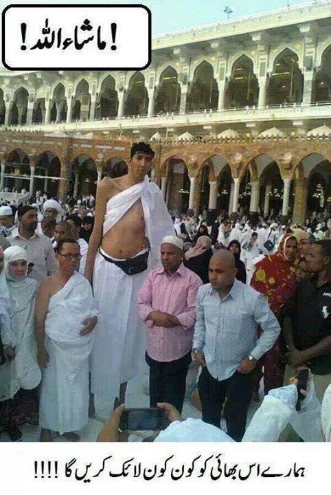RespectMuslims's tweet photo. #RespectForMuslims #RespectForIslam #Jihad #IslamforLife #Isalm #JeSuisMohamed #WhoIsMuhammad http://t.co/HQjoWlS3dD