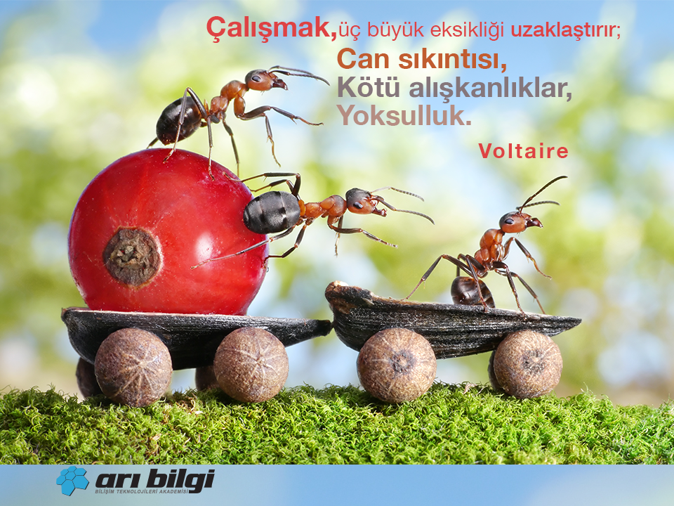 Herkese iyi sabahlar...