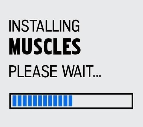 Fitness Motivation tweet media