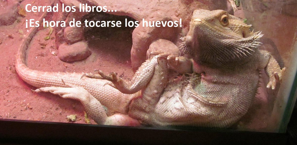 ¡Enhorabuena, se acabó vuestra última jornada de estudio! ¡Disfrutad de la tarde y mucha suerte mañana! ¡A pecaaaar!