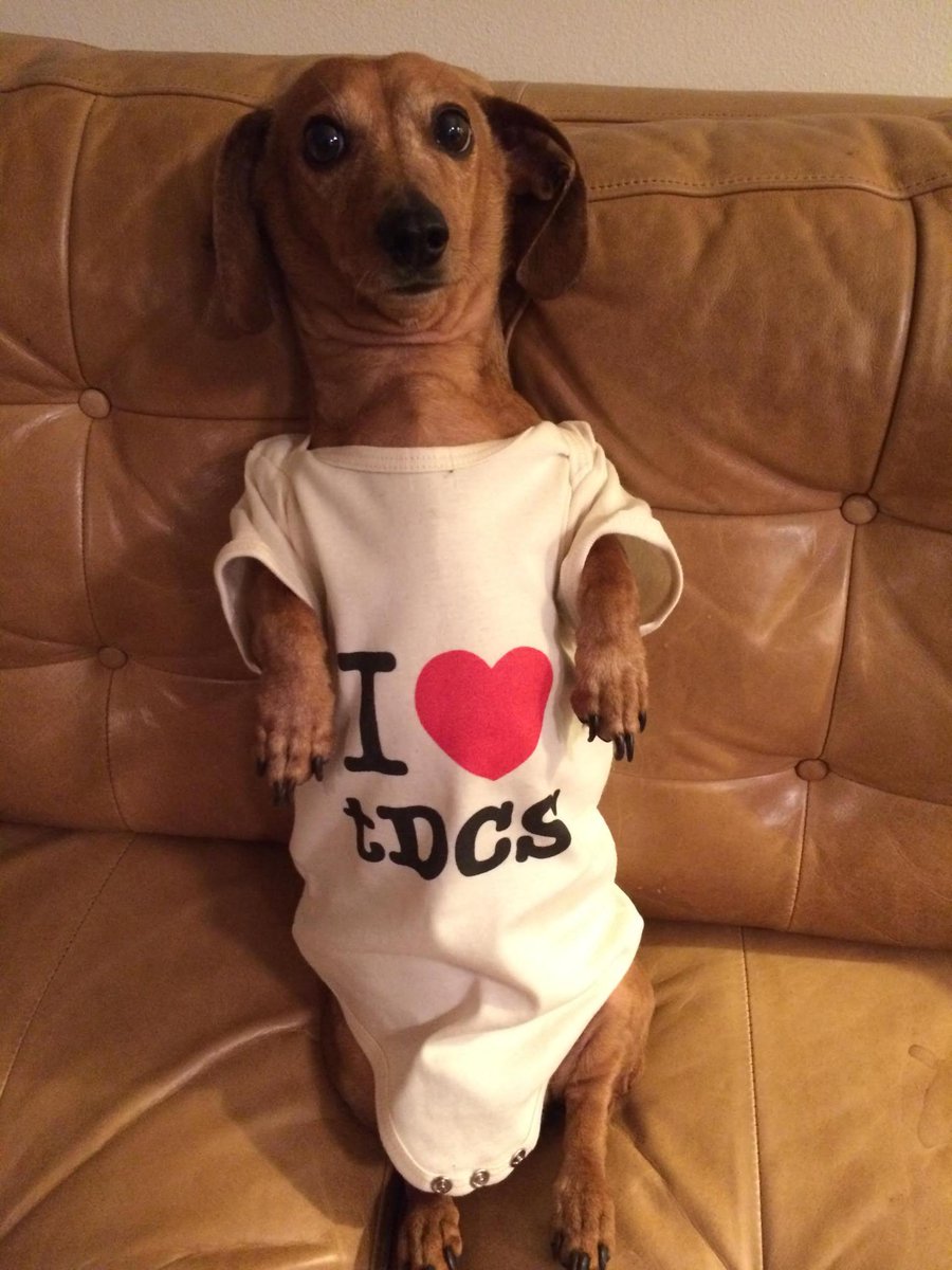 BrainTechGo's tweet image. #joke #tDCS #silly #cool #neuromodulation #dogs #doglife #pets #electronics #chill #smart #twitter #followme