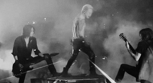 Dir En Grey 画像bot Dir Kawabot Twitter Dir En Grey 画像bot Dir Kawabot Twitter