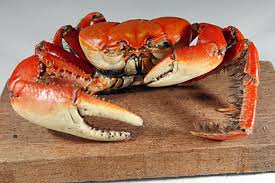 emailpericles's tweet image. vou ja pra ele