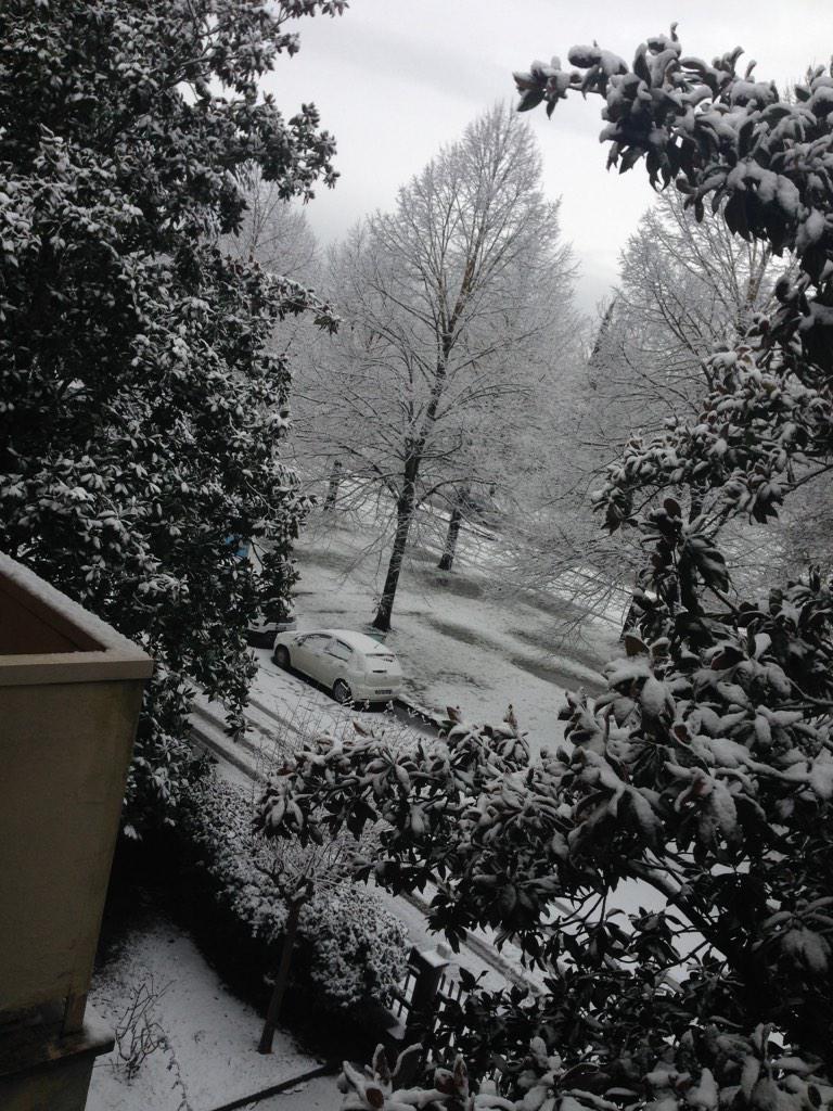 WedrasWind's tweet image. Cioè uno va a dormire tranquillo poi si sveglia con il grande inverno del trono di spade...