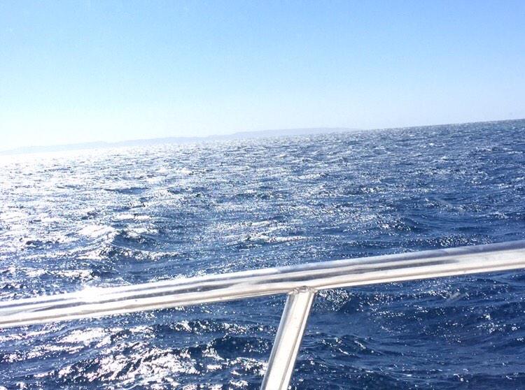 LBUDive's tweet photo. perfect weather for diving out here! ☀️👌 http://t.co/kSGJcOEjKq