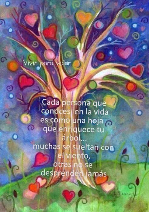 TonyPedrozaA's tweet photo. http://t.co/V6sWQNAeoJ