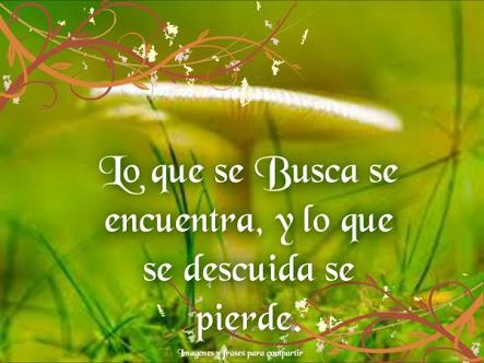 CruzaVictor's tweet image. Frasesita para comienzo de fin de semanaaa....jeje #descuidar #sebusca #sepierde #yafue