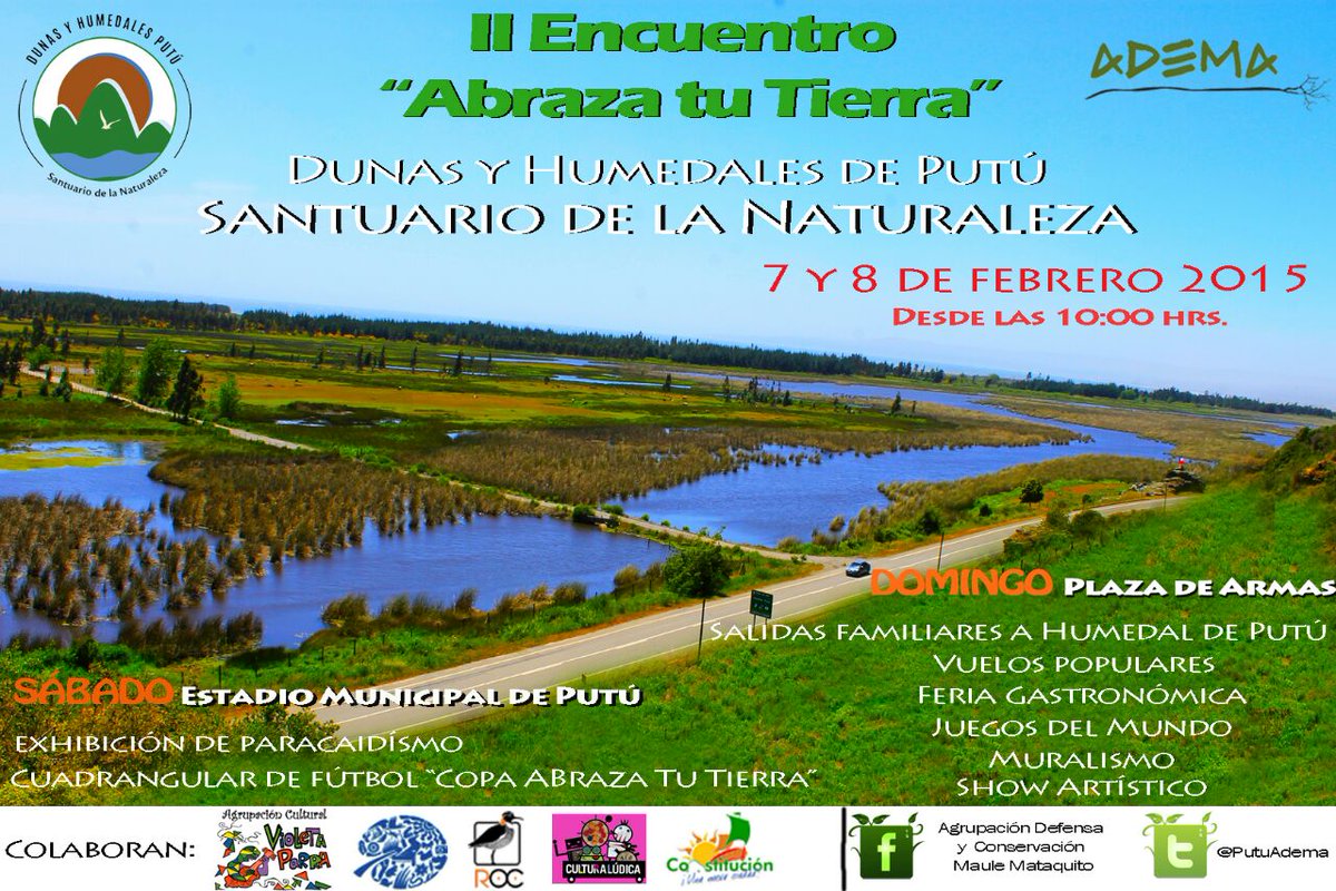 putuadema tweet media