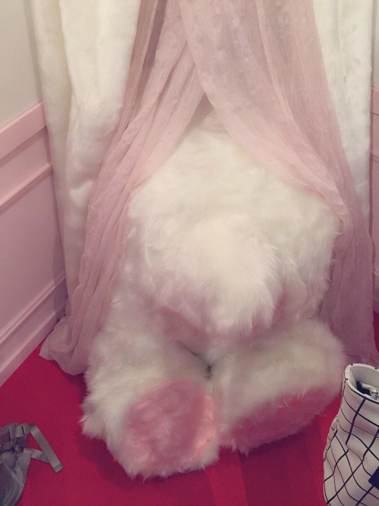 ikegamisarii's tweet photo. 🐰🐰🐰 http://t.co/yCQvwvMtbZ
