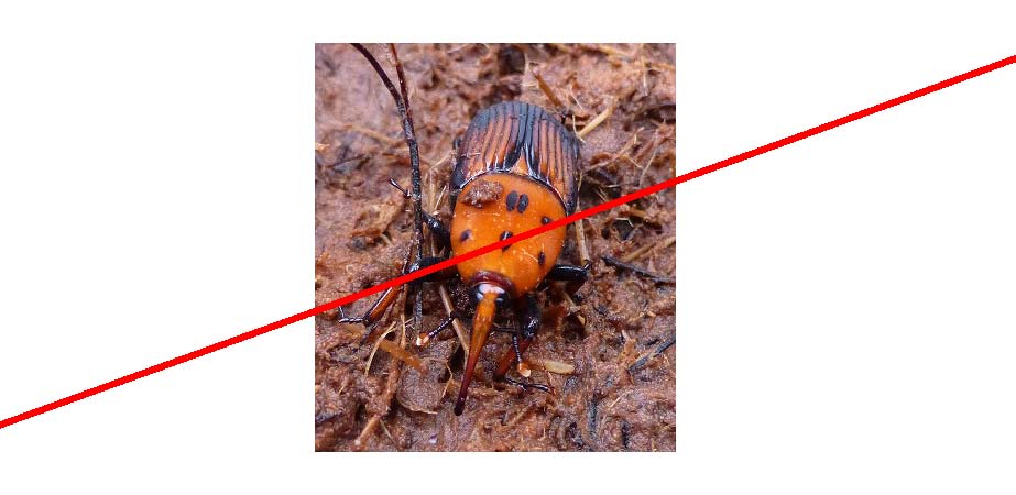 California Ag Today tweet media