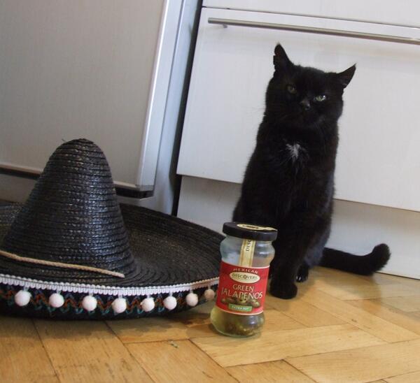 My cat is sad because a friend invited him on a Mexican holiday then decided to go without him.