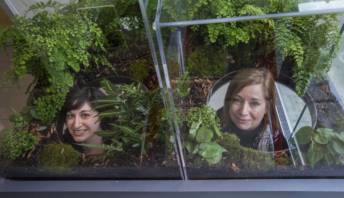 DePaul_News's tweet photo. Life, death and soil: Farrah and Laura Fatemi talk #RootedinSoil @WBEZmorning http://t.co/6XZno0JS4O @DePaulArtMuseum http://t.co/RWt6lhQdbJ