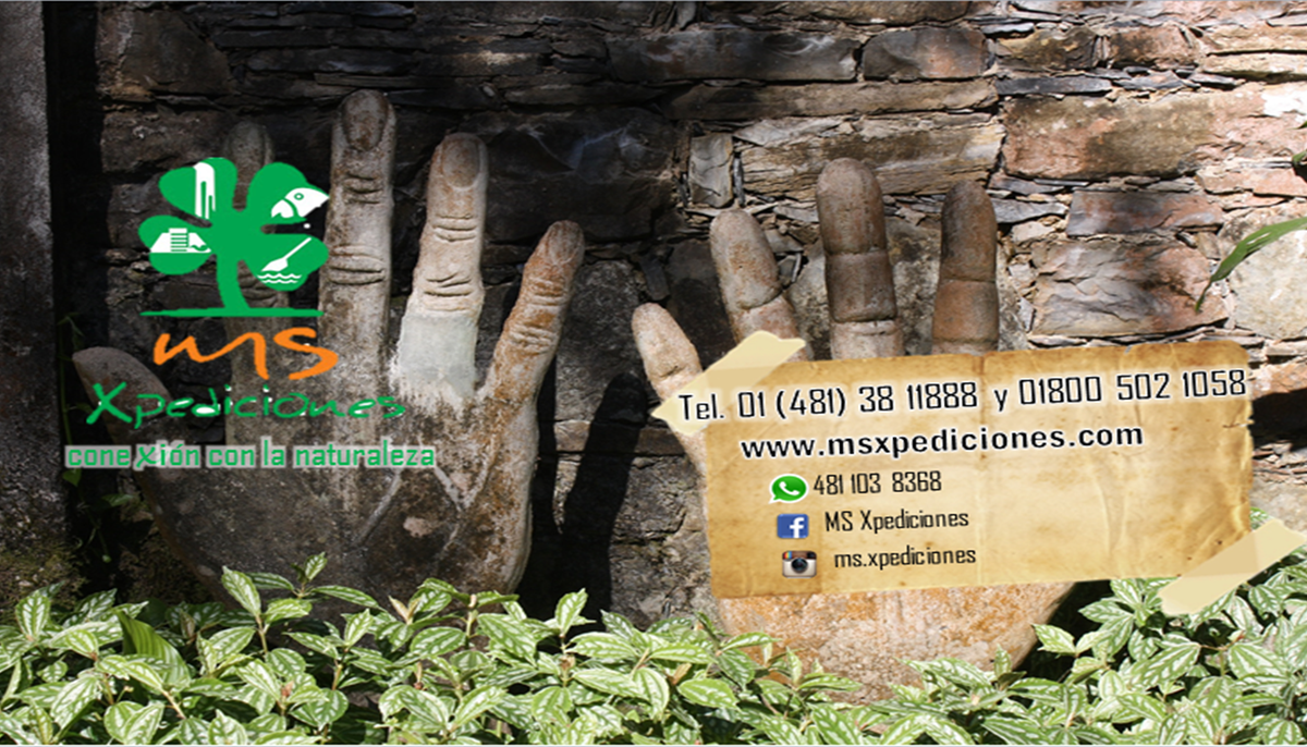 MSXpediciones's tweet photo. Visítanos este puente del 31 de enero al 2 de febrero.
#MSXpediciones te ofrece recorridos desde dos personas!! http://t.co/TkPP3KYzr5