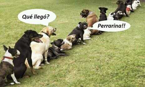 Juanrmorenop's tweet image. Hasta donde hemos llegado #EsModa COÑO E&apos; LA MADRE....