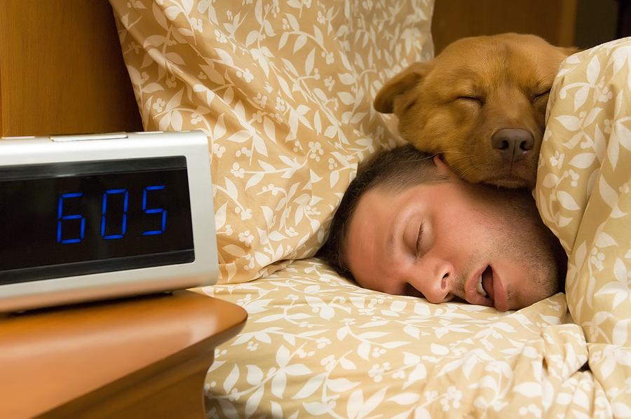 Remember to keep your dog’s bed away from drafts and windows during the winter to keep them warm!