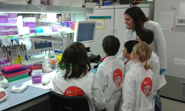 Observant cèl•lules de cor de rata al microscopi amb la <a href="/SaraPagans/">Sara Pagans</a> <a href="/Gencardio/">GenCardio</a> Som #Ninslab <a href="/ninsclub/">ninsclub</a>