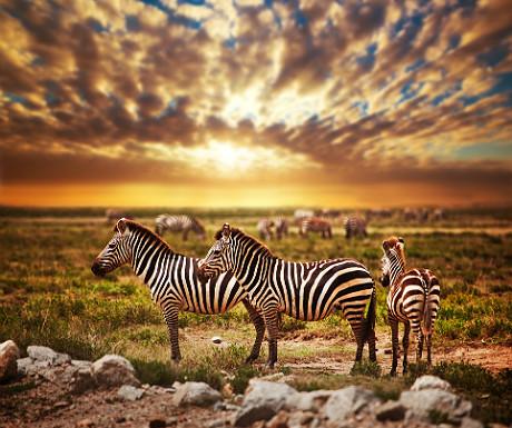 luxurytravel's tweet photo. 9 far-flung destinations for under £500 return  http://t.co/xalC2QNre4 http://t.co/NlawvjfV2B