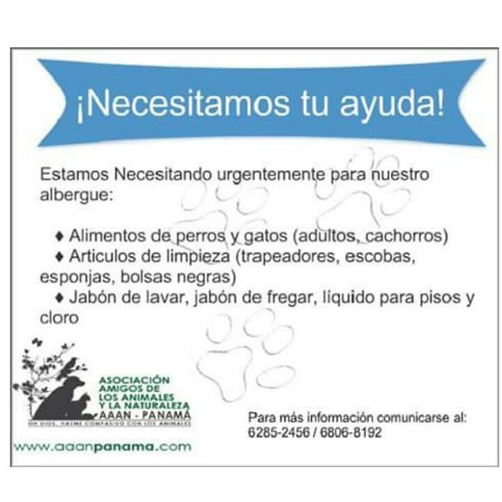 AAAN Panamá tweet media