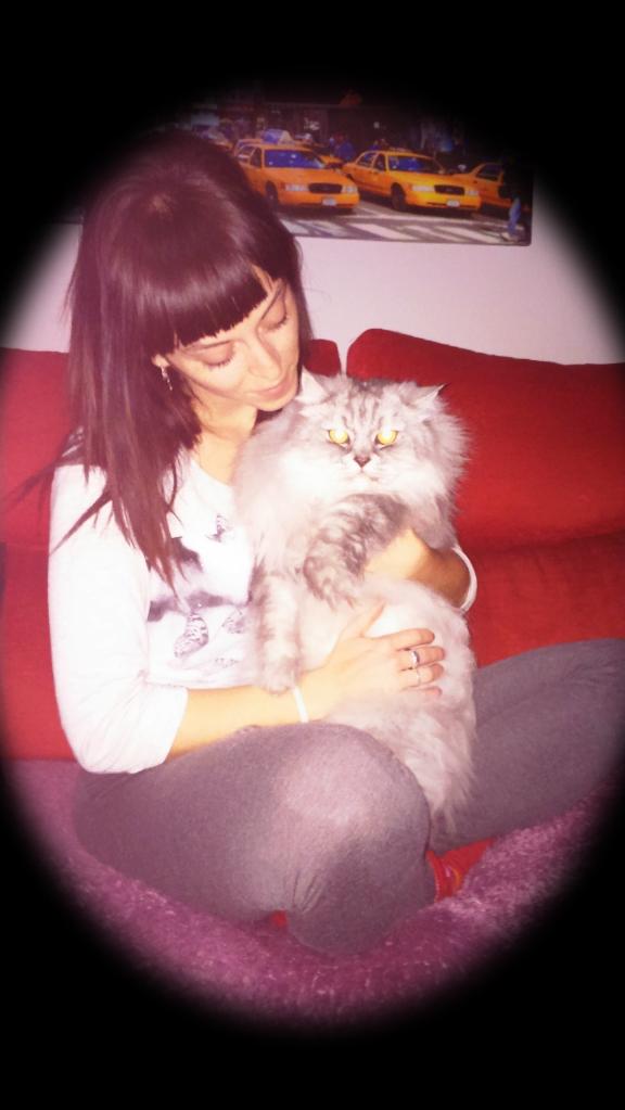 MaryfeMf's tweet image. Con #mikoko q me da toda la compañía del mundo  @SonAnimalitos @EsMundoAnimal