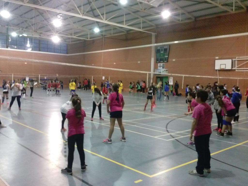 DigitalRibera's tweet photo. Se celebra en estos momentos una concentración de voleibol de alevines en Ribera del Fresno. http://t.co/nCGRWhPNhi