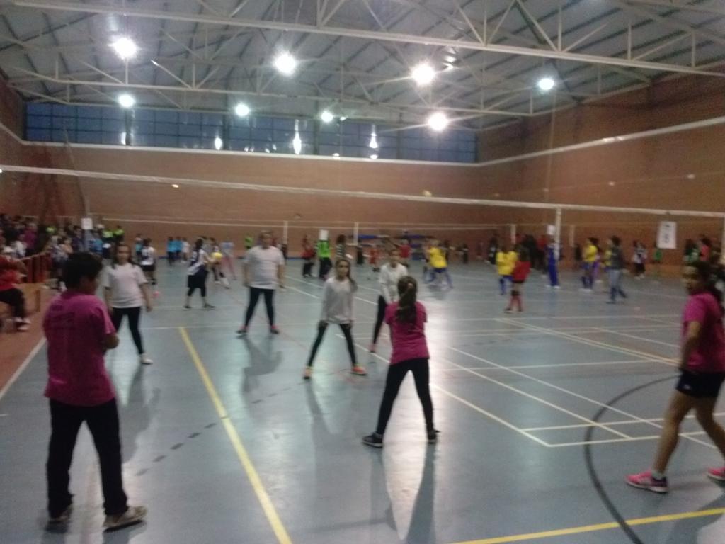 DigitalRibera's tweet photo. Se celebra en estos momentos una concentración de voleibol de alevines en Ribera del Fresno. http://t.co/nCGRWhPNhi