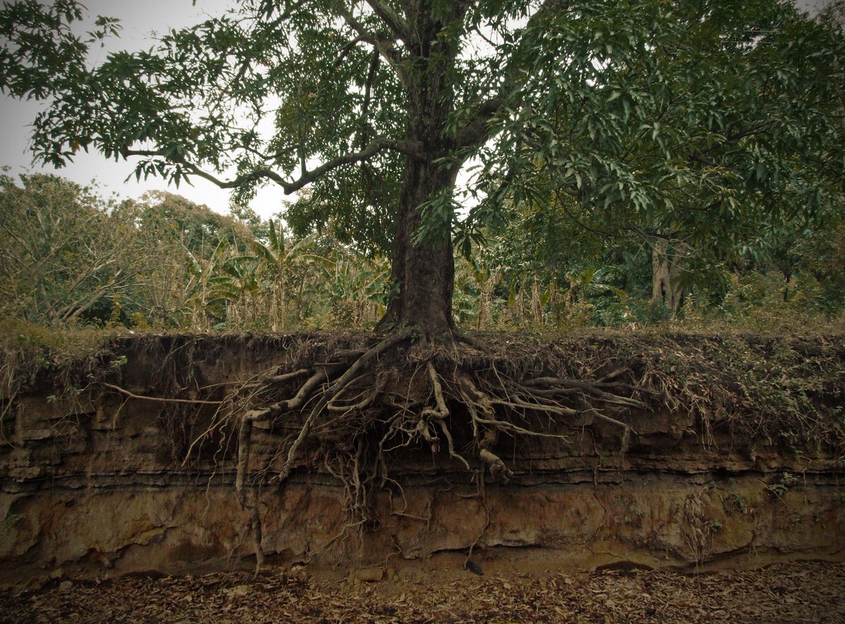 MothersMessage's tweet photo. How are you growing in the spring-time gate? http://t.co/to6iT93eky