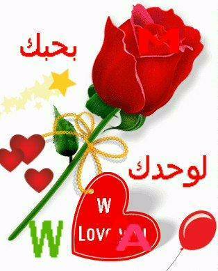 sammona4 tweet picture