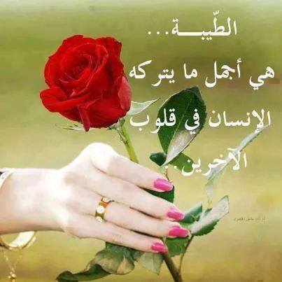 sammona4 tweet picture