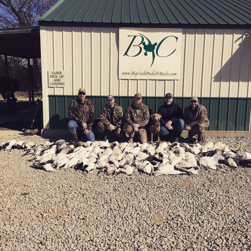 jwelchmcg's tweet photo. Dropping snows at Big Creek Buck and Ducks! #snowgeese #bpbcmensministry  #conservation http://t.co/YX8hct2QX6