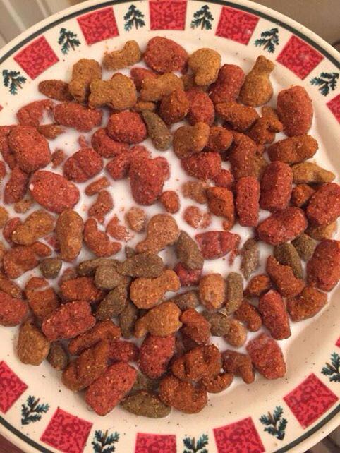 Sthrnside's tweet image. Made my girlfriend dog food for breakfast cause she wants to act like a bitch