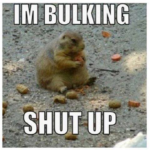 PreWorkedOut's tweet photo. It's the season to bulk. Who's currently bulking up? #notfat #bulk http://t.co/Ch90IRmkAJ