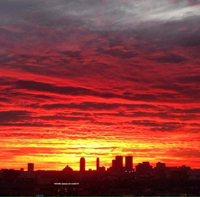 Irene López tweet media