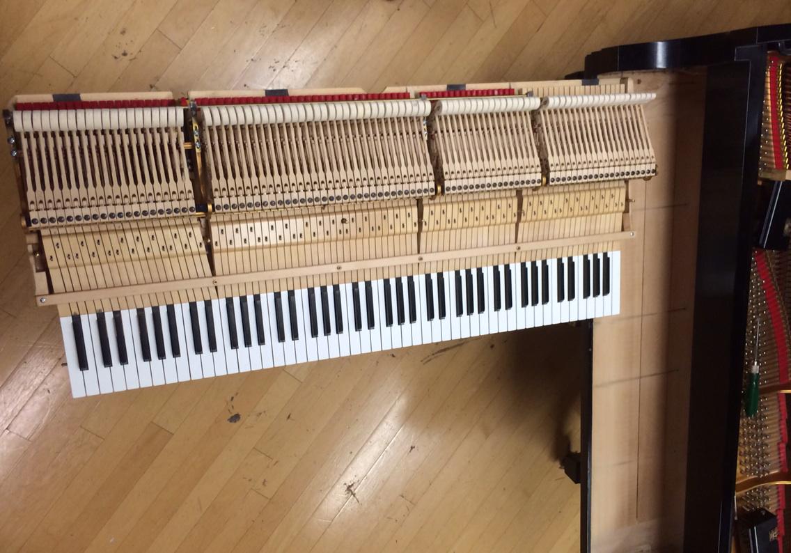 pianoburgh's tweet image. A technician handling a piano action is like an OB delivering new born babies. You're never, ever allowed to drop one